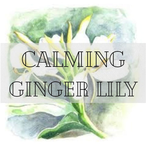 Calming Ginger Lily